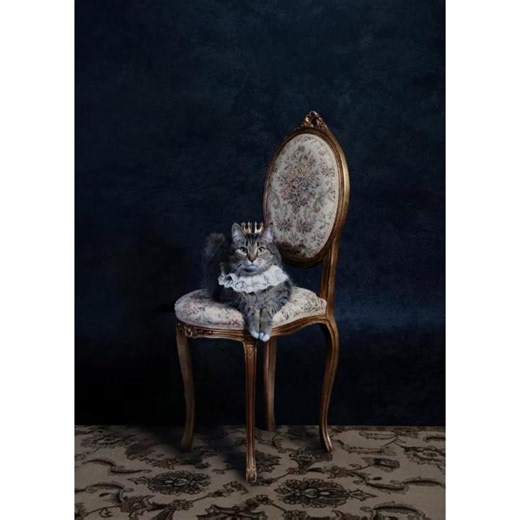 Purrtrait of royalty 👑🐾 katharinakraven (on Tiktok) crafted one meowgical birthday masterpiece. ✨ #MadeWithPhotoshop | Adobe Photoshop