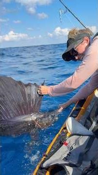 Chased this lassoed sail on the @seadoo and finally got the tag in! #fishing #seadoo #florida