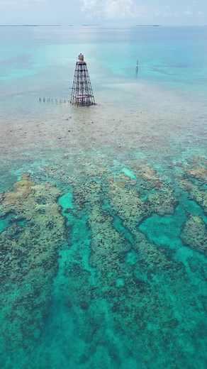45K views · 36 reactions | Perfect day at Sand Key Lighthouse | Life On the Rocks Charters | Facebook