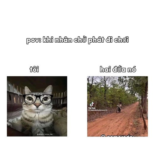 #CapCut#mongxh