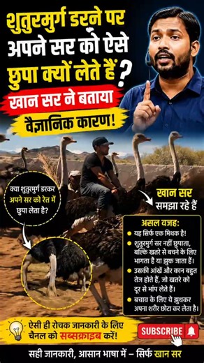 शुतुरमुर्ग का सबसे बड़ा मिथक! डरते ही सिर छुपा लेता है? जानिए वैज्ञानिक सच्चाई| Khan Sir Explained
