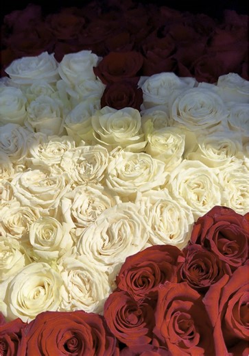 Федот (@fedot.s94)’s videos with Fall Back - Lithe