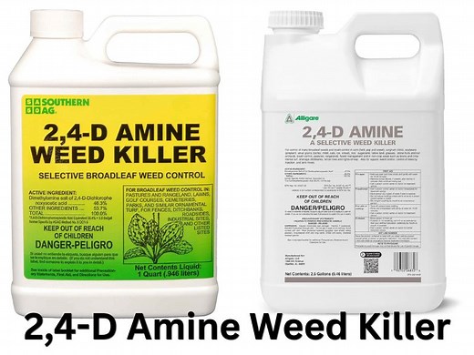 2,4-D Mix Ratio, Instructions   How To Mix The Weed Killer - LawnModel
