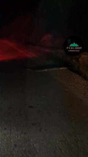 Huge python spotted crossing the Highway road | Somewhere Arunachal Pradesh | #python #dontforgettofollowmypage #itsallaboutarunachal #ArunachalPradesh | It's All About Arunachal