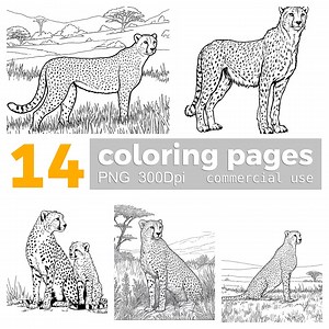 Cheetah Coloring Pages: Africa Animal Clipart (PNG Digital Download) - Etsy Canada