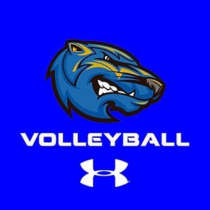 Brescia Women's Volleyball • Home