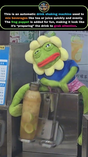 This Frog Is Making Drinks?! 😱 Watch Closely!