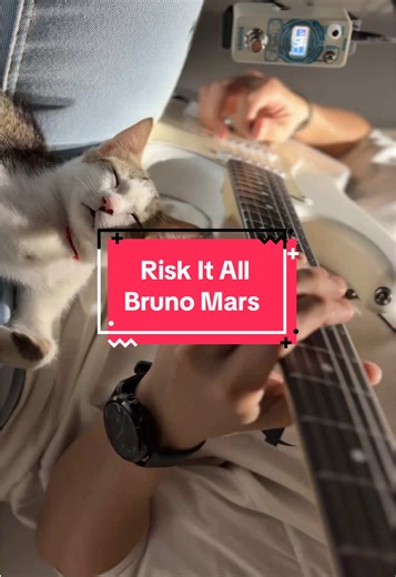 Unlock Your Creativity with the Donner DST-152 Guitar Kit