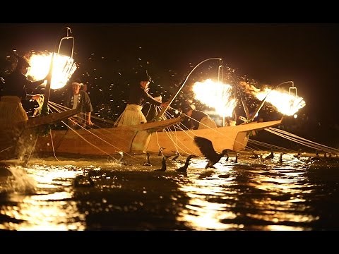 伝統の長良川鵜飼い始まる