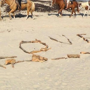 49K views · 464 reactions | VALENTINE SPECIAL - $10 - $20 OFF all of our horse and zipline rides. Plus, for Valentine Weekend, everyone will receive a Complimentary Rose & Box of Chocolates! MUST Book online! www.southpadreislandadventures.com OR use our BOOK NOW button on Facebook. Come enjoy our "Sweet Adventures" | South Padre Island Adventure Park | Facebook