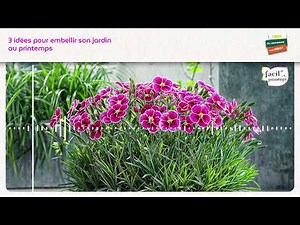 3 ideas to beautify your garden in spring 🌸✨