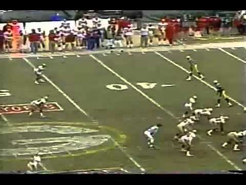 Brett Favre strike to Freeman 2001 NFC Wild Card Game - 01/13/2002