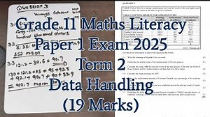 Grade 11 Maths Literacy Paper 1 Exam 2025 Term 2 Data Handling 19 Marks Digitalised Learning Sa Mp3 & Mp4 Download - clip.africa.com