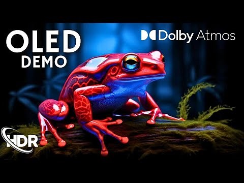 Ultimate OLED Experience: HDR, 120FPS Performance!. Dolby Vision