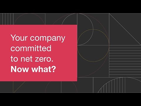 Net zero: Move from theory to action