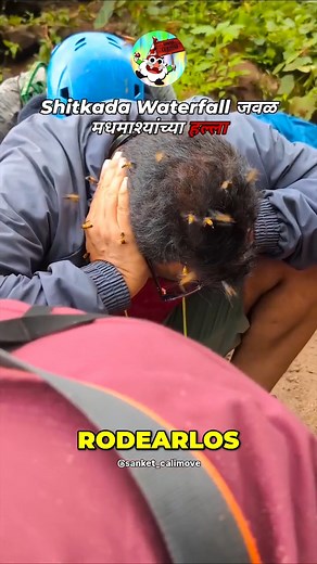 1.9M views · 7.8K reactions | ⚠️ Esto es lo que no debes hacer si te atacan las abejas  #abejas #avispas #naturaleza | Gnomo Curioso | Facebook