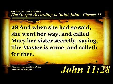 The Gospel of John Chapter 11 - Bible Book 43 - The Holy Bible KJV in HD 4K Audio Text
