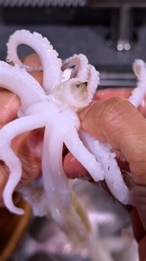 Muhammad Afiq Bin Abd Rahim on Instagram: "Sotong masak apa sedap? #tips #cooking #recipe #squid #kitchen"