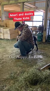 Amari when she was a baby doing what baby donkeys do! But she has this thing with daddy. She was always kicking when around him. She is almost three and she of course never kicks us. She was a baby being a baby! #reels #fbreels #reels2024 #onehappyassfarm #amari #barnlife #donkey #farmlife #animals #kick | One Happy Ass Farm