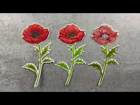 Hero Arts Contour Ink Introduction