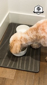 It's time to trade your cloth bath mat for this quick-drying stone mat. 🛁 Click the link in bio to shop. | Family Handyman