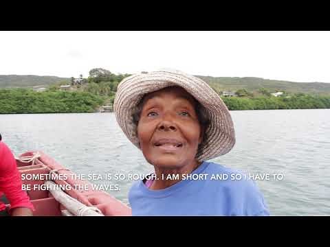 Saint Lucia Seamoss Documentary