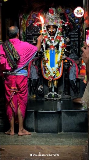 ଜୟ ଜୟ ଶ୍ରୀ ନାରାୟଣ | Jay Shriman Narayana #AlarnathPeeth #jagannathpuridham #Narayan #Vishnu