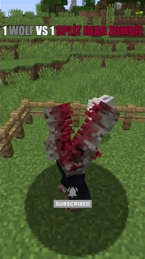 1 WOLF VS 1 SPLİT HEAD ZOMBİE #minecraft
