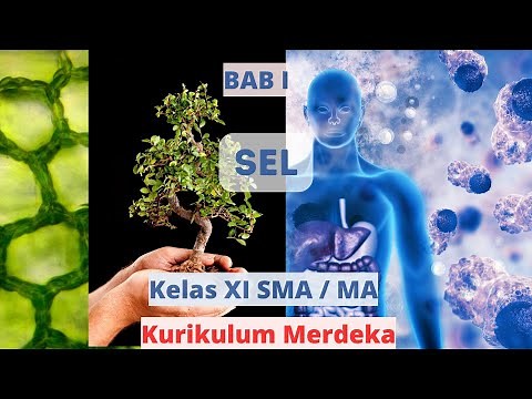 CELL | BIOLOGY | CELL BIOLOGY | cell discovery and cell theory