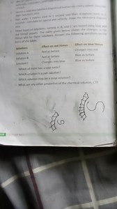 Sketcha neat and labelled diagram of human excietory svstem. De... | Filo