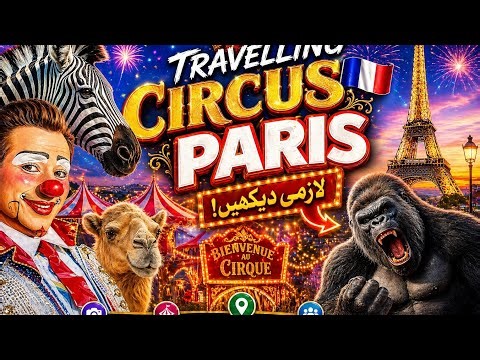 Travelling Circus in France 🇫🇷 | Behind the Scenes of a French Circus”