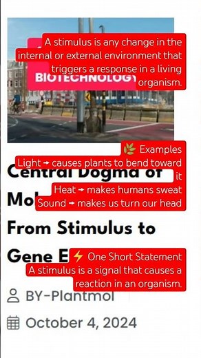 What is stimulus
