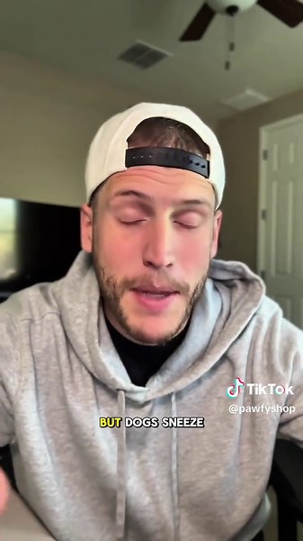 Understanding Your Dog's Sneezing Behavior