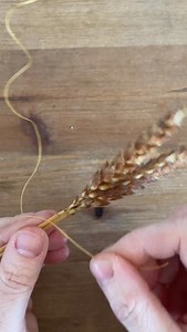 Make a Lover’s Knot with me! Here I’m using squareheads master wheat (soaked in warm water for an hour) and linen thread. At the end I show you how I tie my bows with ribbon to decorate. #corndollyworkshop #corndollymaking #corndollylesson #loversknot #harvestoken #strawplaiting #heritagecrafts #heritagewheat #squareheadsmaster #corndolly #lovetoken #endangeredcrafts #bucollic #folkcraft | Corn Dolly Folklore