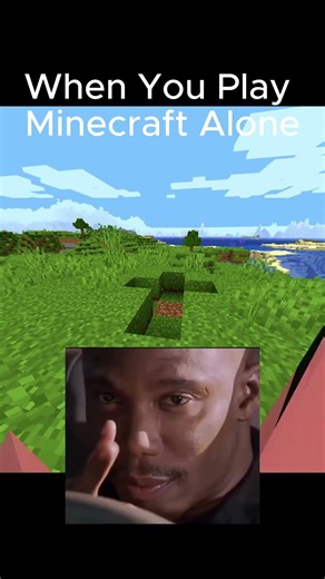 Pov: when you play minecraft alone