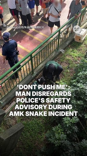452K views · 2K reactions | Despite the police officer's advice for the man to step back for his own safety, the man could be heard responding agitatedly in Chinese: "Don't push me... I'll fall, don't push me." https://asia1.news/42ZjX0p #sgnews #Singapore #Nature #Wildlife #Snake #Police | AsiaOne | Facebook