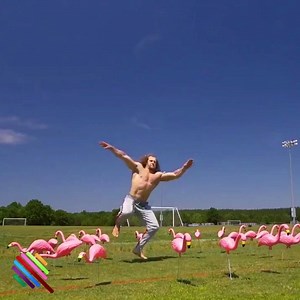 553K views · 13K reactions | On n'a pas trouvé mieux pour résumer l'état du Parti socialiste et de ses militants. À revoir ➡️ https://www.tf1.fr/tmc/quotidien-avec-yann-barthes/videos/4-q-19.html | Quotidien avec Yann Barthès | Facebook