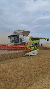 CLAAS Lexion 8900 avec sa barre de coupe convio 13m80 🏋🌾🌾 | Agrimachine59