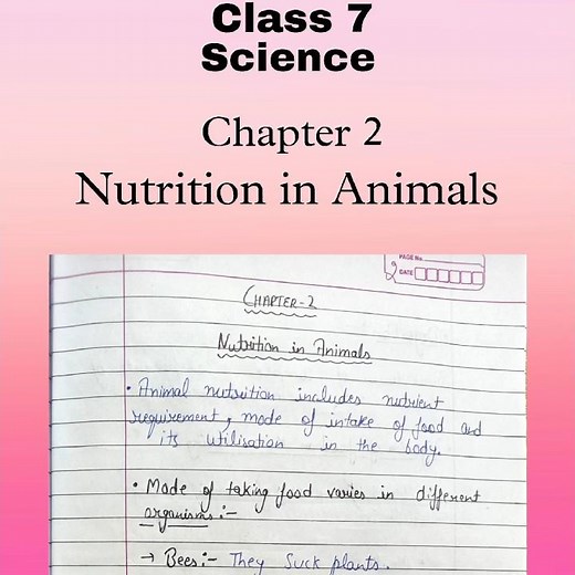 Class 7 Science Chapter 2 Nutrition in Animals Notes