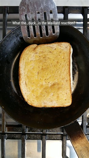 What is the Maillard reaction? #cooking #food #yum #GBD