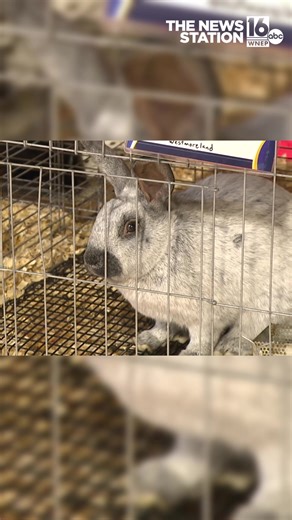 Experience the 2026 Pennsylvania Farm Show