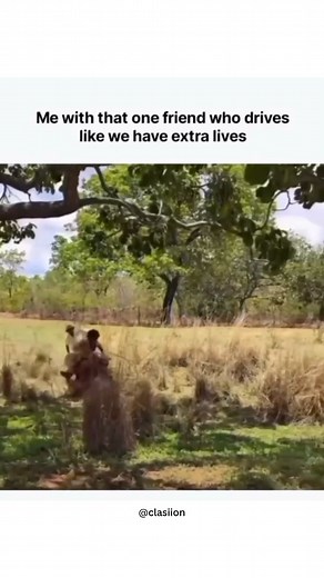 🍭https://fb.gg/play/the_puzzle | The Puzzle