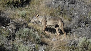 60 reactions · 13 shares | Probably Riaño Mountain range on south...