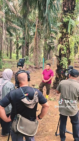 Understanding Human-Elephant Conflict in Kotatinggi