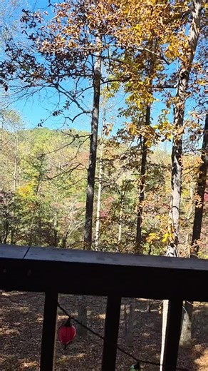 Ms,Lady,j (@ms.lady_j_66)’s videos with original sound - Ms,Lady,j