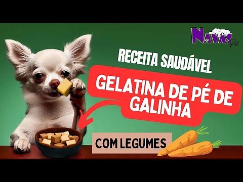 Chicken feet gelatin 🐔 for DOGS and CATS 🐶🍴
