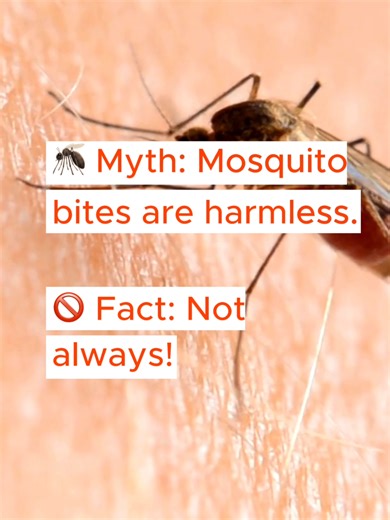 Recognizing Infections from Mosquito Bites