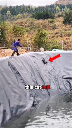 A Small Help Saved a Life🥺