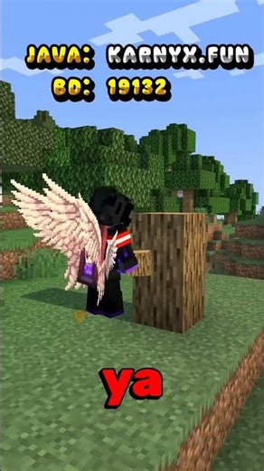 👉I'M OPEN MY NEW MINECRAFT SERVER! | NEW JAVA AND BEDROCK SERVER | NON-PREMIUM 😱 #minecraft