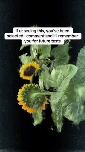 new user. welcome. thank you for participating. im glad we found you. I WONT I WONT I WONT I WONT